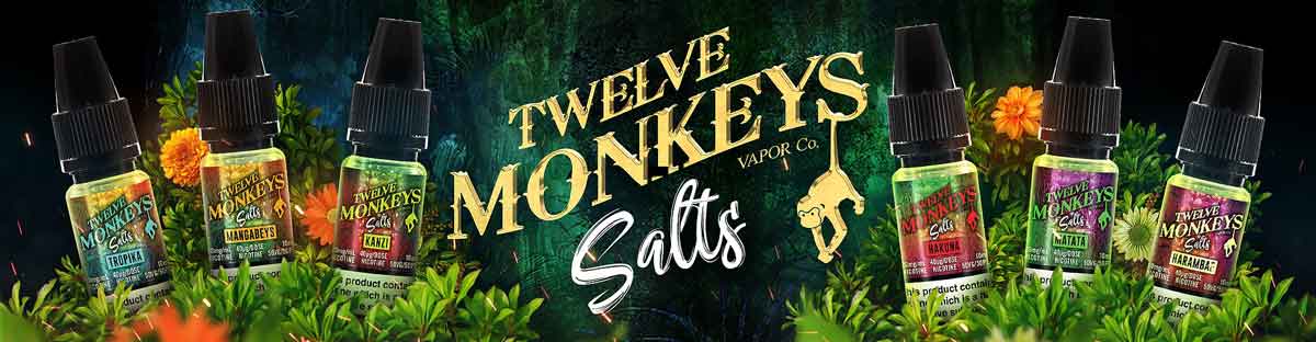 12 Monkeys Salt Nics