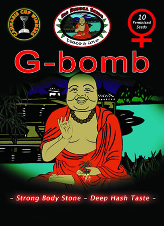 BIG BUDDHA SEEDS - G BOMB - 10 Feminised